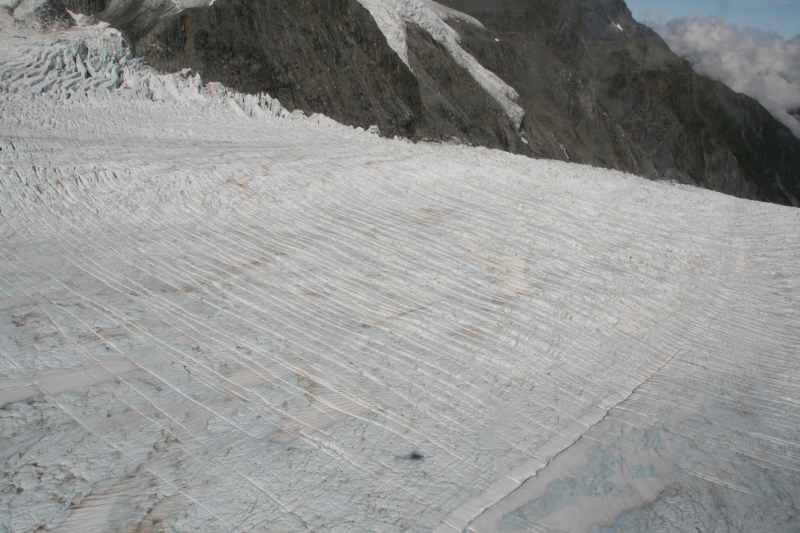 Nieuw-Zeeland 2011 - 1529